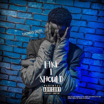 Like I Should - Single