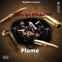Plomo (feat. El Príncipe Nocturno) - Single - Megadivo HD