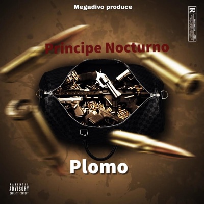 Plomo (feat. El Príncipe Nocturno) - Single