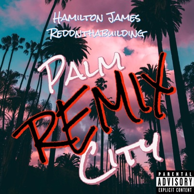 Palm City (feat. Reddnthabuilding) [Remix] - Single