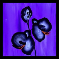 Farewell - Single - Tommy Mantra