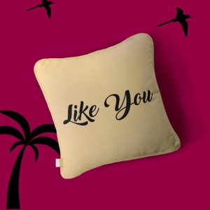 Like You (feat. Limoblaze & TBabz)