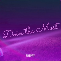Doin the Most - Single - Sheppy