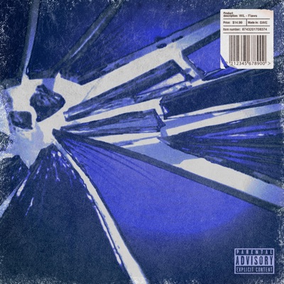 Flaws (feat. Rubi) - Single