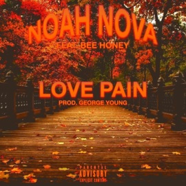 LOVE PAIN (feat. Bee Honey) Noah Nova