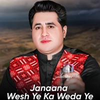Janaana Wesh Ye Ka Weda Ye - Single - Shah Farooq