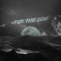 For the Low! - Single - 404vincent