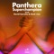 Superchampion - Panthera lyrics