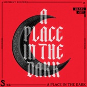 A Place In The Dark artwork
