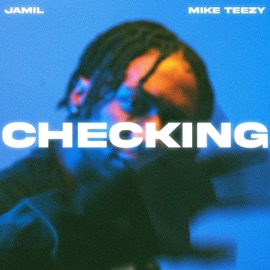 Checking (feat. Mike Teezy) Jamil