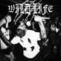 Wildlife - Single - EESKAY