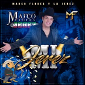 Mi Jerez - Single