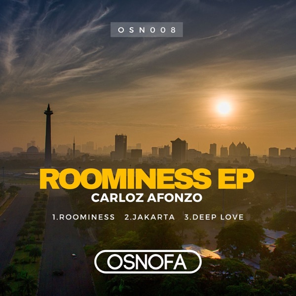 Roominess - Single