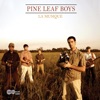 Pine Leaf Boys