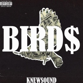 Bird$ (feat. Lance DeVinci, Big16 Balla & West$ide Dallas) KnewSound