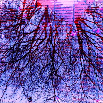 Fractales (feat. Rango) - Single