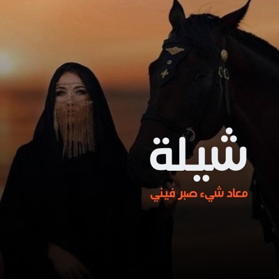 شيلات يمنية - شيلة معاد شيء صبر فيني