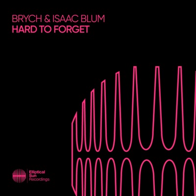 Hard to Forget - Single
