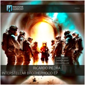 Interstellar Brotherhood (Darren Bray Remix) artwork