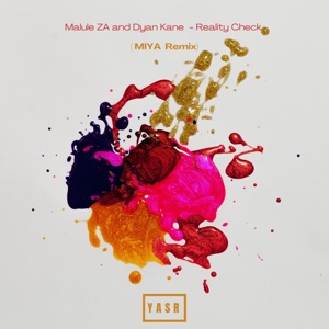 Reality Check (Miya Remix)