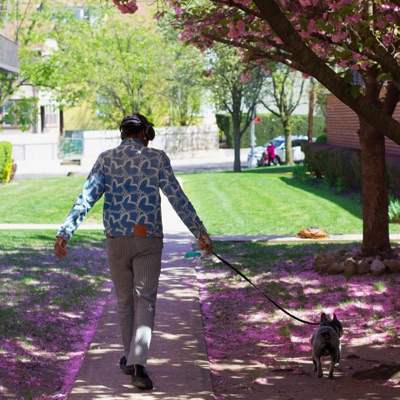 Shea, Like It's Butter