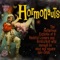 We Are The Hormonauts - The Hormonauts lyrics