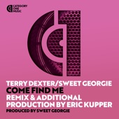 Come Find Me (Eric Kupper Mix) artwork