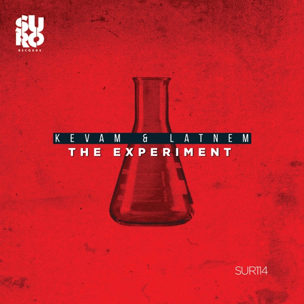 The Experiment - Single