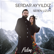 Pulim (feat. Seren Uzun) - Serdar Ayyıldız