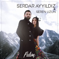 Pulim (feat. Seren Uzun) - Single - Serdar Ayyıldız