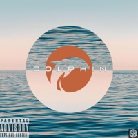 Dolphin - Single - s-h