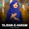 Tajdar E Haram - Single