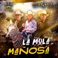 La Mula Mañosa - Single - El piloto y su estilo & La Bertiniza De Culiacan