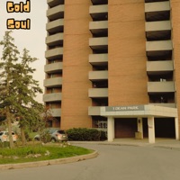 Gold Soul (Dean Park Road) - Single - Young Manny