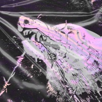 Choppa - Single - Ghost Savage