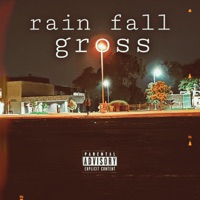 Rain Fall (Slowed Down + Reverb) - Single - gross
