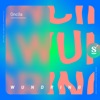 Wundring - Single