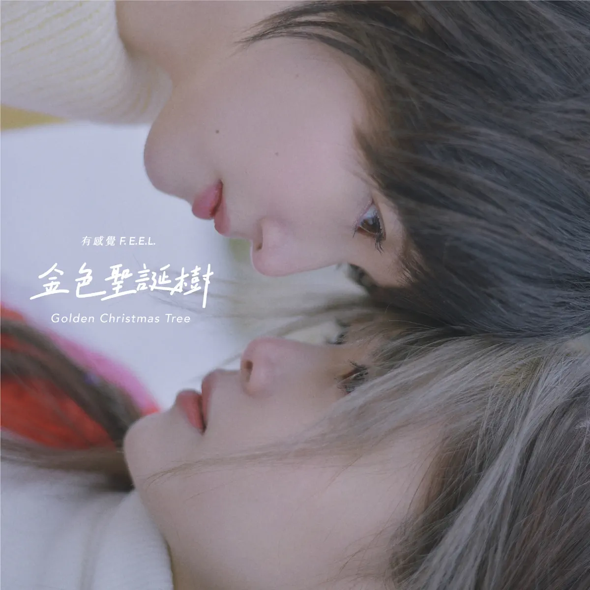 F.E.E.L. 有感覺 - 金色聖誕樹 (2023) [iTunes Plus AAC M4A]-新房子