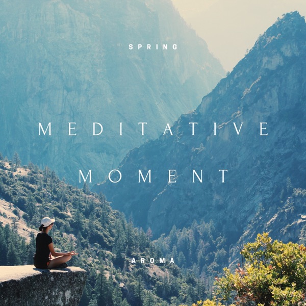 Meditative Moment - EP