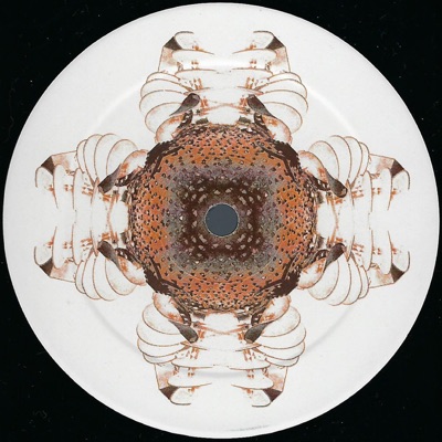 Executive Party - Single