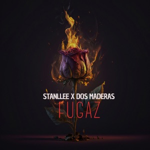 Fugaz (feat. Dos Maderas)