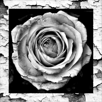 Modern Day Love Story EP - EP