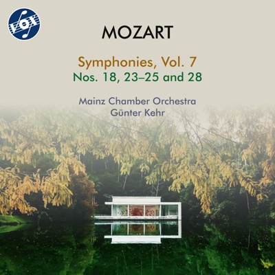 Symphony No. 25 in G Minor, K. 183: I. Allegro con brio-thumbnail