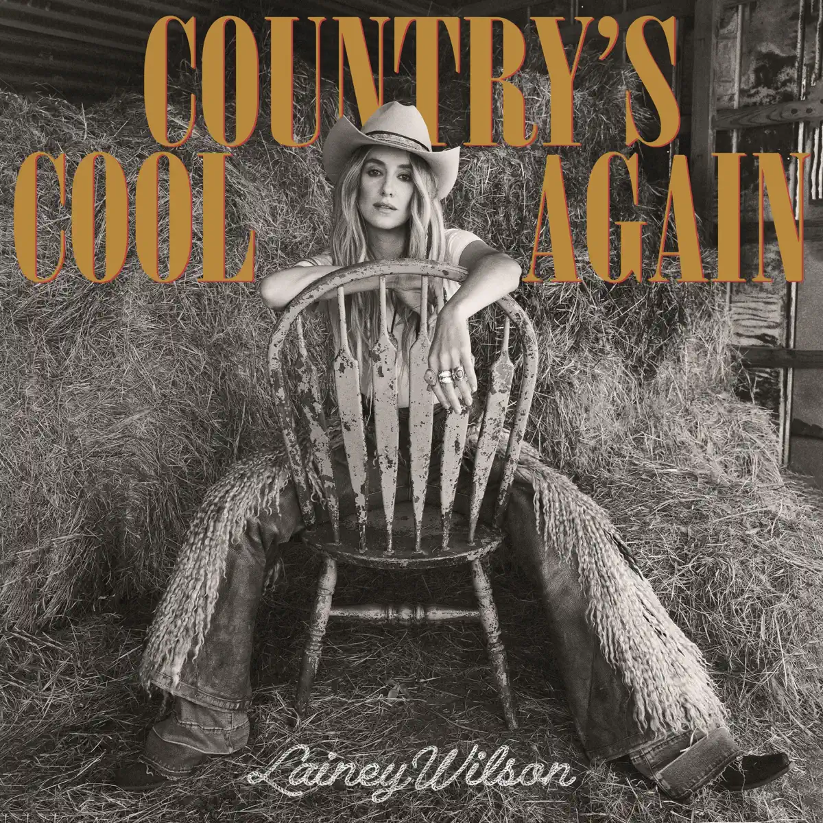 Lainey Wilson - Country's Cool Again - Single (2024) [iTunes Plus AAC M4A]-新房子