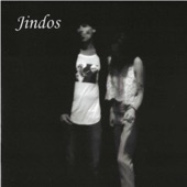Jindos - Flew Into A Storm