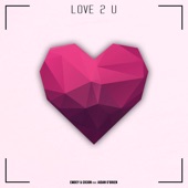 Love 2 U (feat. Aidan O'Brien) artwork