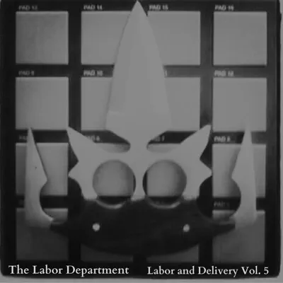 Ascolta 'Labor and Delivery, Vol. 5' di The Labor Department
