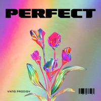 Perfect - Single - Yxng Prodigy