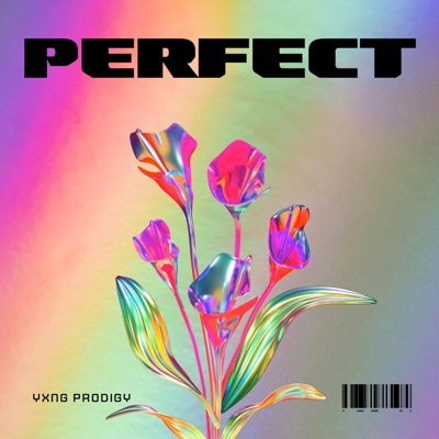 Perfect - Single