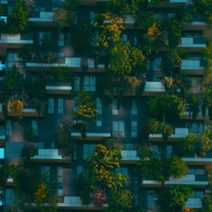 Green - Single